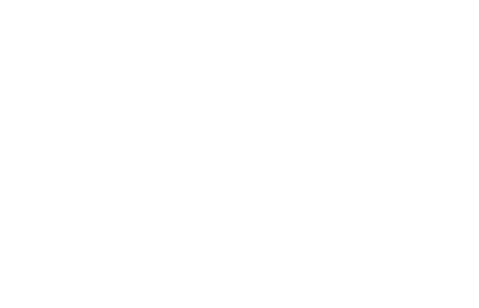 Icono QEEG